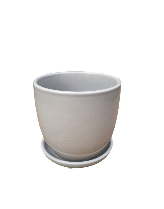 Keramikinis vazonas + lėkštutė